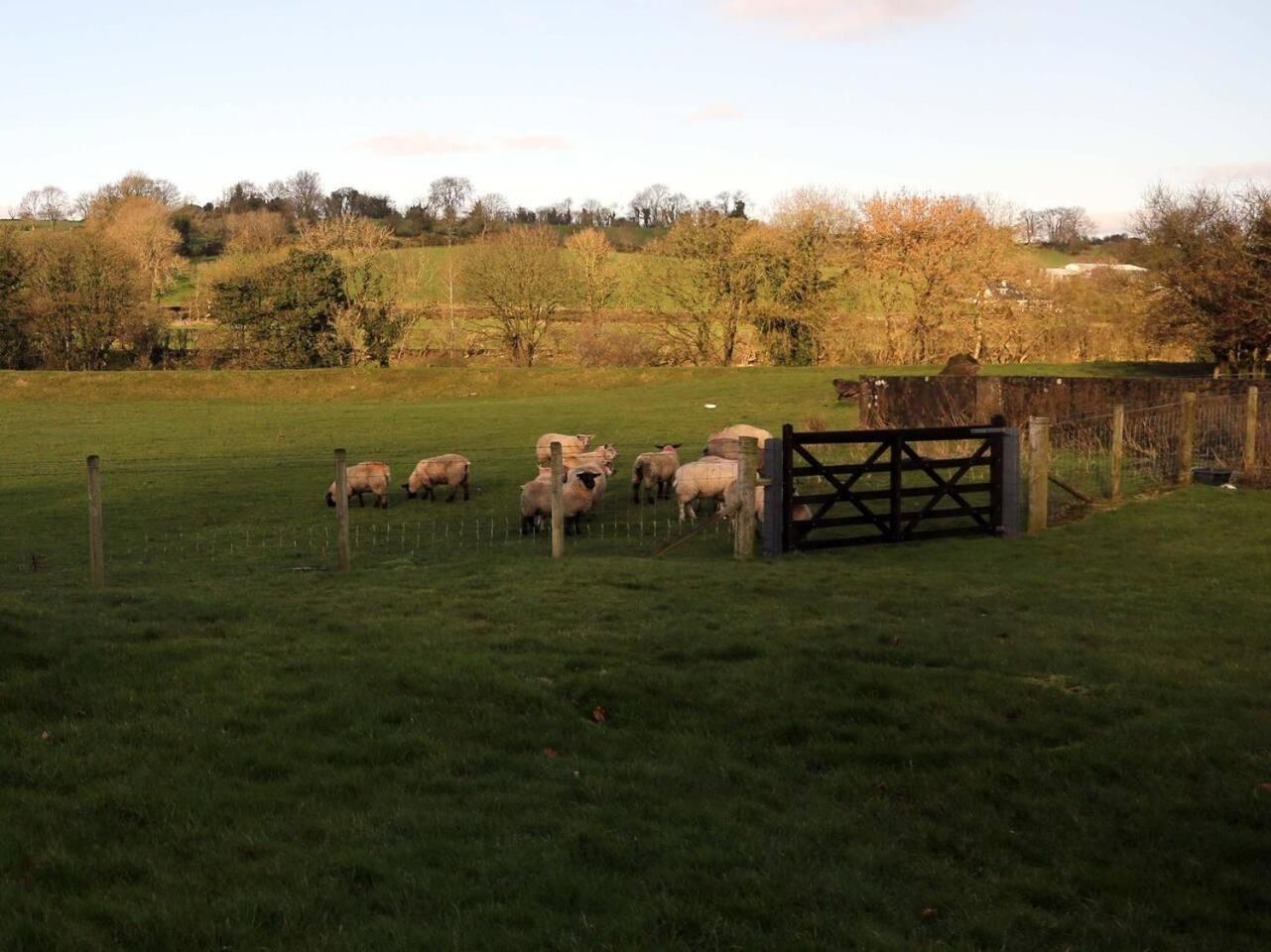 Near Newtownstewart 3 Bedrooms Holiday home Omagh